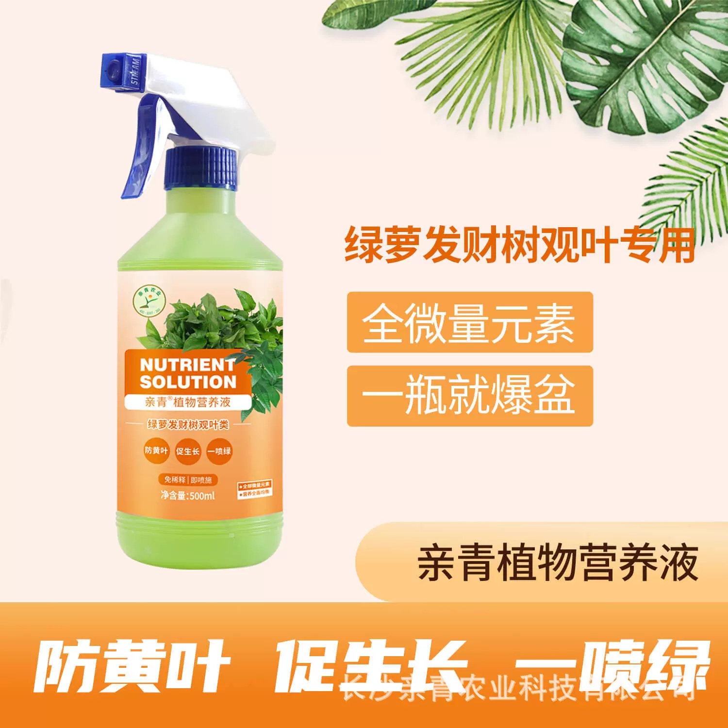 亲青植物营养液绿萝发财树观叶类专用防黄叶幸福树龟背竹叶面肥料