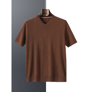 Cashmere Sweater Men's Pure Cashmere T-Shirt V-neck Color 2025 Spring Summer Autumn New Arrival Worsted Thin Knitted Base Short Sleeve