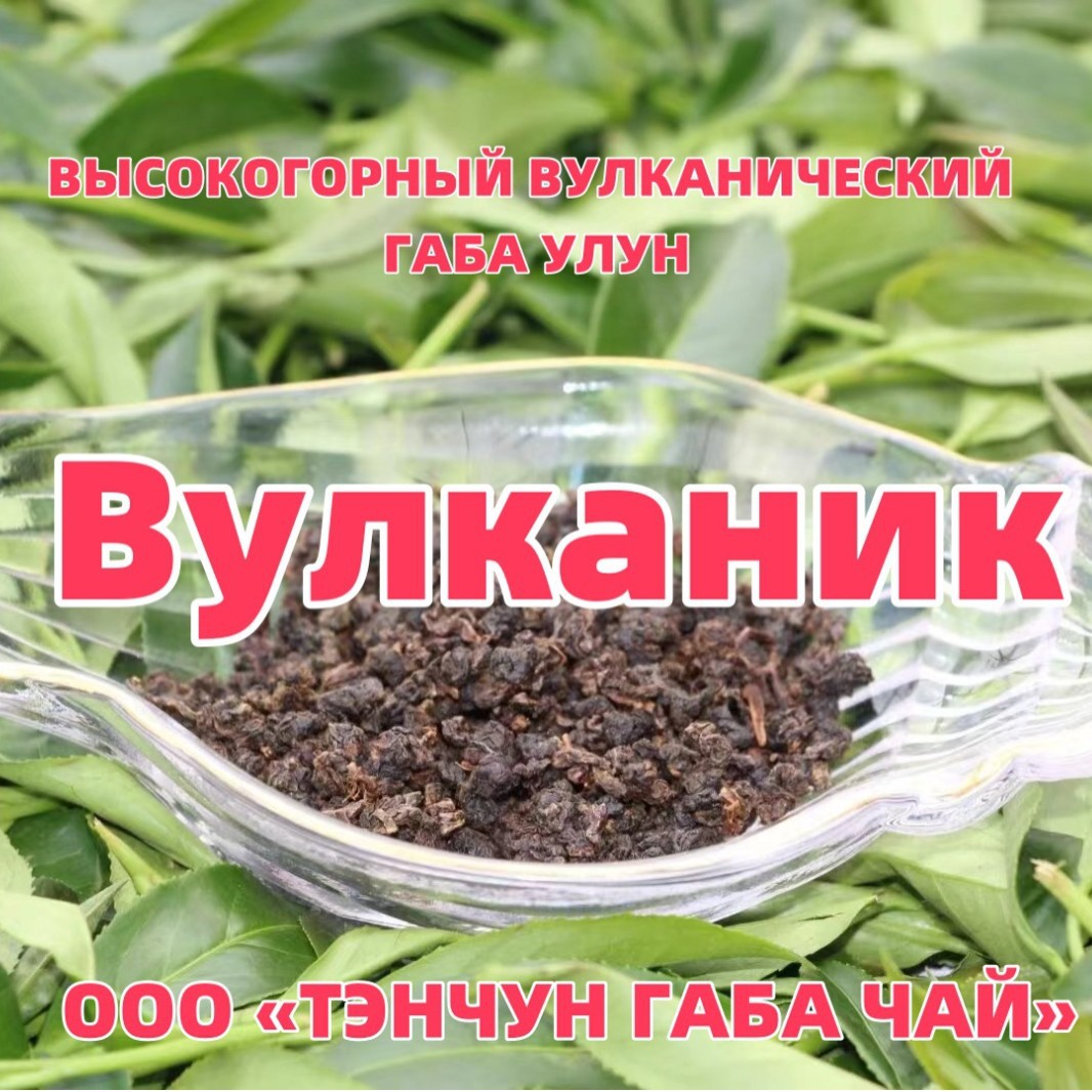 Volcanic Rock Gaba Oolong Tea Tengchong Alpine Volcanic Rock Gaba…