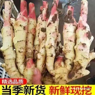 �F�������tѿ�r���۽��н��r���Ǵ��ݽ��������������r�۽�����