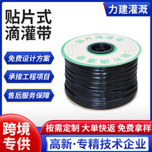 rPE|ι@־ιOοp״Ĥµι