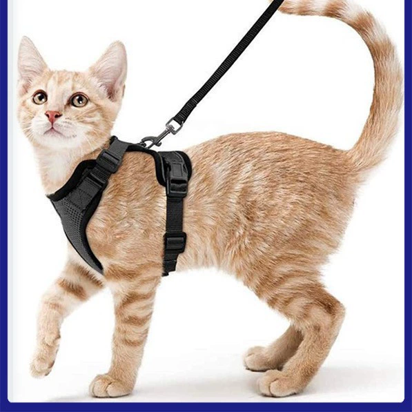 Товары для домашних животных Дышащий нагрудный ремень для кошек Светоотражающий анти-разрывный поводок для кошек Поводок для кошек Маленький нагрудный ремень для собак