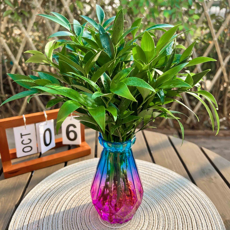 [점장 추천] 모기퇴치대나무, 편백나무 20개 + [청자색 다이아몬드병] + 영양액