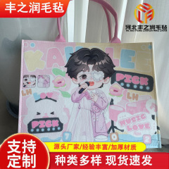 演唱会内胆包隐形拉链藏灯牌托特包藏手机应援周边物品夹层暗格包