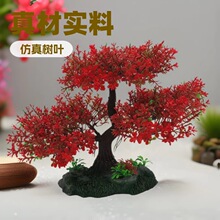 ���ˮ����Ʒ�Sֱ�N�~��ˮ���쾰�¿��N�ɫ��������ˮ��