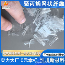 �۱�ϩ�W���w�S���l�r�� ��·������������ɢ���� �۱�ϩ�W���w�S