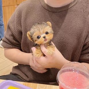 �s���Ľ�ɫ�L���湷���˽��^�y�����ﳬ�������ɐ۹���