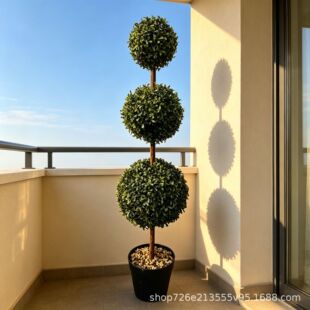 �羳ֲ�����m��һ�U�������������S��ľ�������͘侰�҃ȏS�����l