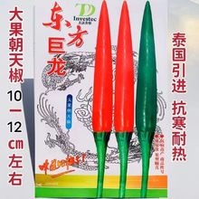 ϟN̩콷NtmV̖콷NѼtƤ