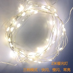 中国のバレンタインデー LED 暖かい光ストリングライト星空ライト花束クリスマス誕生日クリスマスウィッシングボトルライト