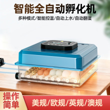 源头工厂】鸡蛋孵化器孵蛋器小型家用孵化机鸡鸭鹅鸽保温箱