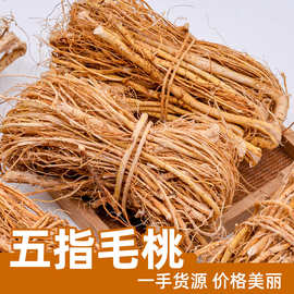 广东新货五指牛奶批发跑江湖地摊展销会煲汤料扎把奶香五指毛桃