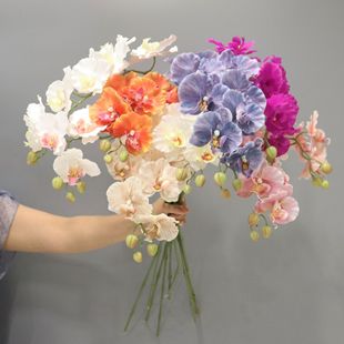 9�^�Wʽ�����mС�t��ͬ���nʽins�����m����[�����ՔzӰ�Ҿ��b�