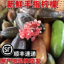 ��ָ�������r������Ʒ�Nָ���~���uĴָ���������űP�b��c�Y���]