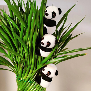 �ɐ����^��؈��ż�A��ë�q���С���В���Ĵ��ɶ����ؼo��Ʒ�Ą�