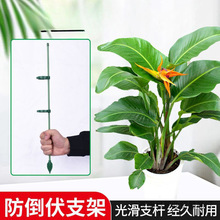 ֧�ΗU�����B֧�܈@ˇ��֧���F�z���ٻ��܊A�ӹ̶�ֲ����m