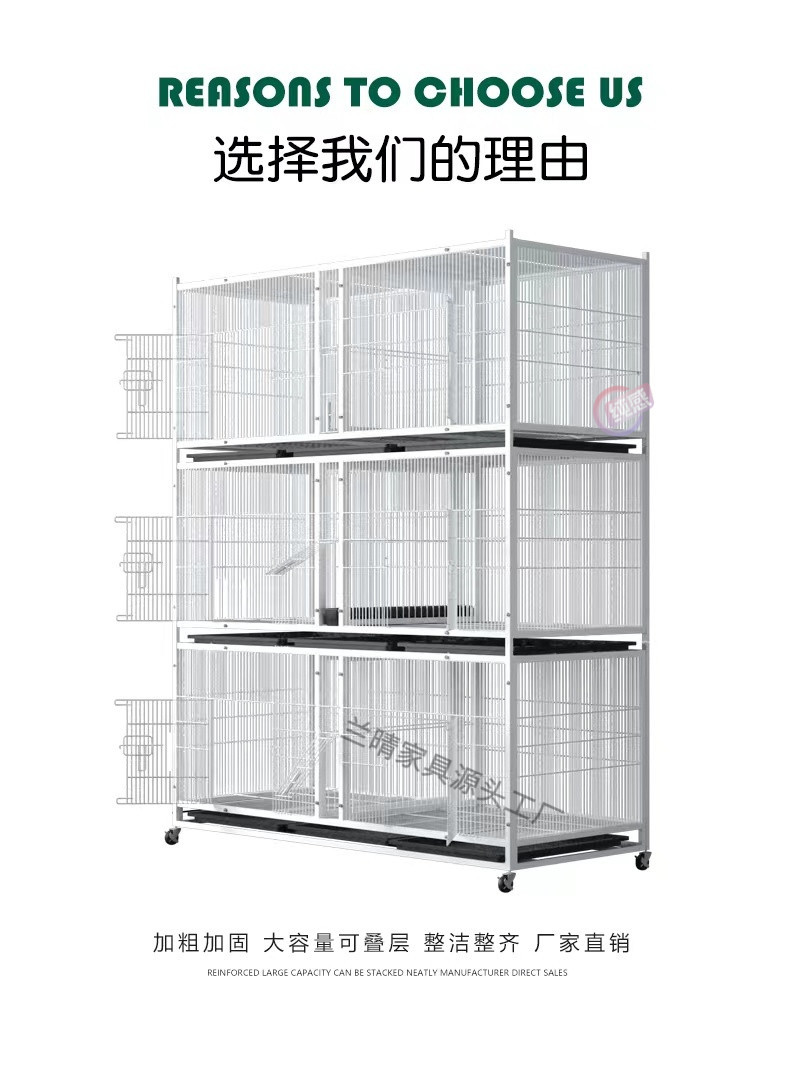 b4845c45-80b7-41e3-a105-0003e4e778bc.jpe