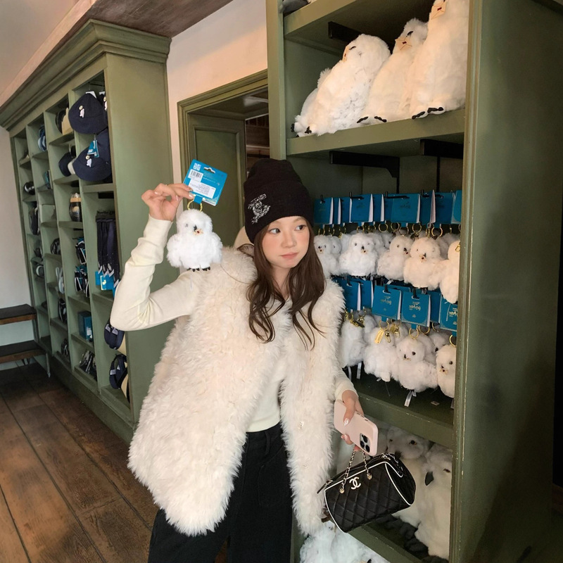 Lamb Wool Vest for Women 2025 Autumn and Winter New Korean Style High-End Fur One-Piece Jacket Plush Vest Lamb Wool Vest for Women 2025 Autumn and Winter New Korean Style High-End Fur One-Piece Jacket Plush Vest