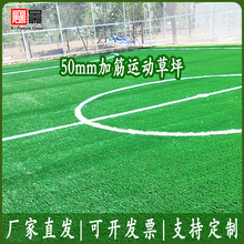 襄景带背胶足球草仿真草坪运动草足球场橄榄球场假草坪加筋人造草