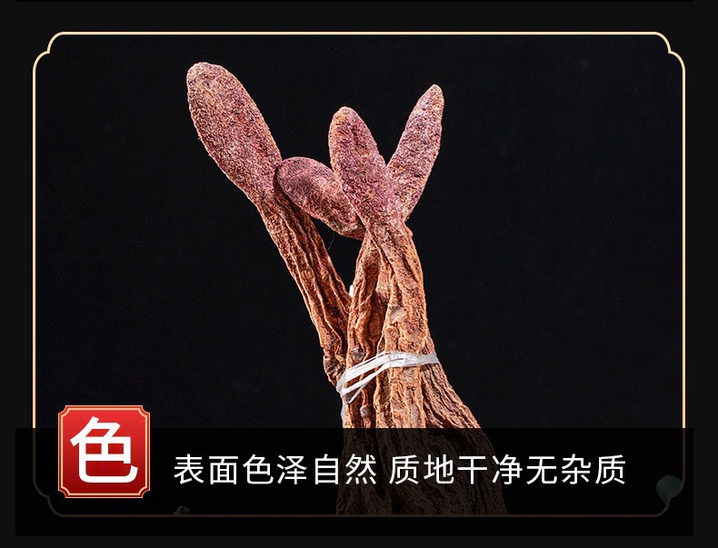 Cynomorium Songaricum Slices Alashan Suo Yang Dried Herb TCM Decoction Pieces 250g quality and texture