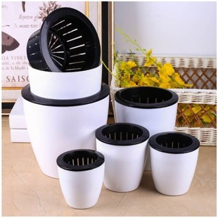 �����Ԅӝ�ˮ���˻���������֬С�Gֲ�������Ͽ���������2����