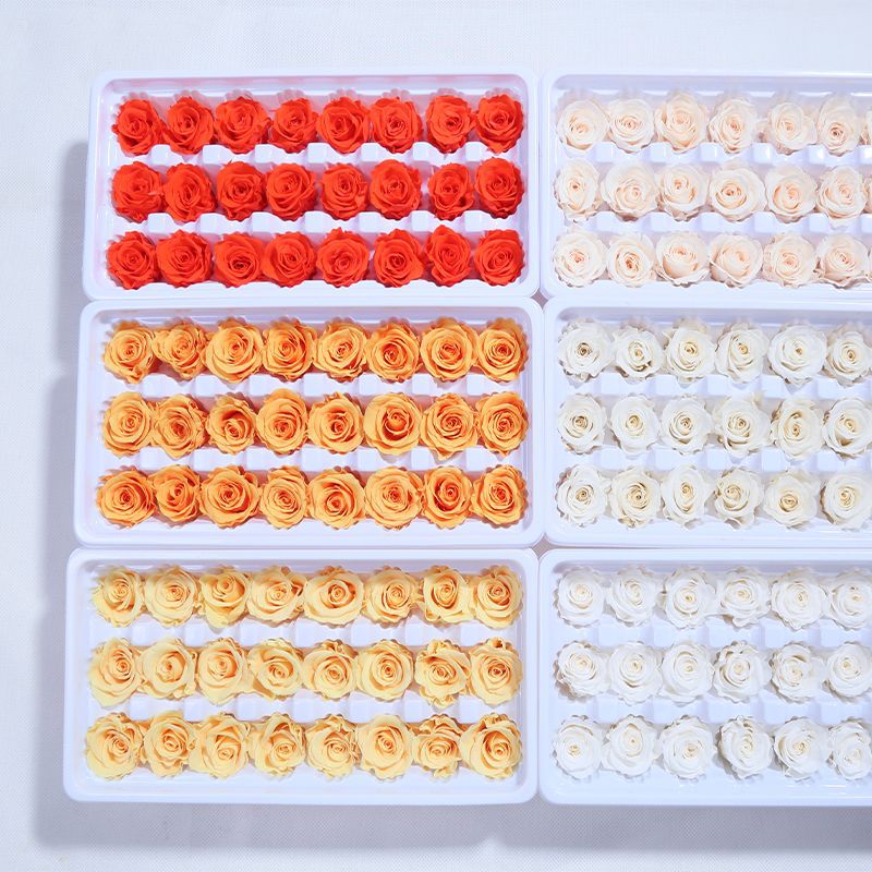 Venta directa de fábrica de Yunnan cabeza de rosa eterna 2-3 cm B grado 21 flores Día de San Valentín materiales diy hechos a mano al por mayor
