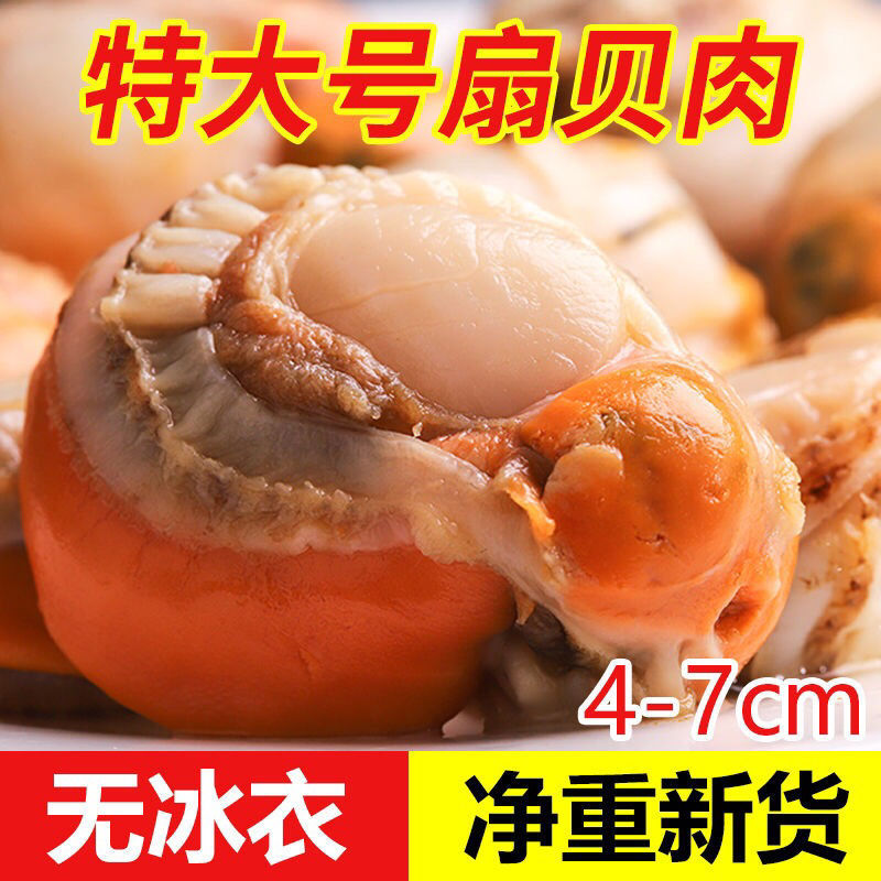 扇贝肉顺丰无冰特大号海捕新鲜冷冻海鲜鲜活贝贝厂家厂家直销代发