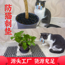 �؈��؈�羳���N��؈�̉|�ɲü���ƴ��؈��ᔾW���̨���ϴ�����