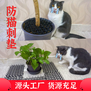 �؈��؈�羳���N��؈�̉|�ɲü���ƴ��؈��ᔾW���̨���ϴ�����