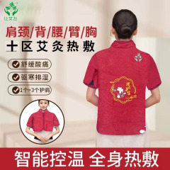 灸の服の熱い包みは艾絨草の電気加熱の理学療法を包んで肩の頚椎の背中の灸の塩の袋を保護します。