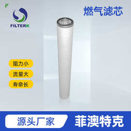 菲澳特克滤筒 燃气聚结滤芯 煤气滤芯 折叠