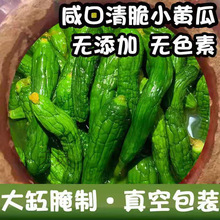 东北小黄瓜咸菜山东特产鲜脆可口小咸菜开胃下饭菜腌黄瓜厂家直销