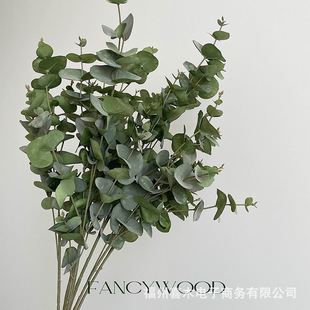 ����ĥë���X�ȼ����~ ������ˇ���� ���W�L �Ӱ��g��ˇ�OӋ���