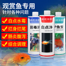 烂身烂尾鱼类白点水霉亚甲基蓝非鱼药治疗锦鲤金鱼专用杀菌剂