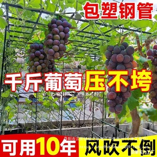 �Ӡ������ټܽz���S�����Ѽ�ͥԺ���ټܑ����Ϲ���ܰ������