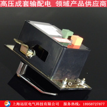 DSN-DMZ/DY高压户内电磁锁AC/DC220V/110V 高压柜配电柜电门锁