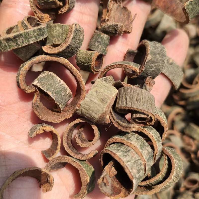 Magnolia Bark Hou Po 厚朴 Powder 500g Dried Herbal Powder for Decoction and Tea specifications