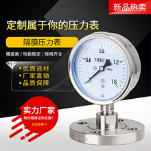 不锈钢膜片法兰隔膜压力表 YTP-100BF 充油耐震隔膜压力表316L