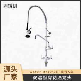 单孔冷热水龙头厨房增压花洒厨房水龙头套装冷热全铜水槽增压花洒