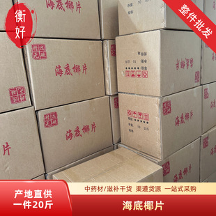 �F؛��������ҬƬ  ̩������Ҭ��ƬҬ��ζ��򜫰�20���������l