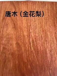 ��ľ����ľ�ďS�����l��ľ�̈́�ľ����ľ�ӹ����B�L��ľ�����ľ