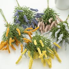 �W�t�����JȔ���^���� �JȔ���Թ�β�Ͳݱ��W�Ҿ��b[�����滨