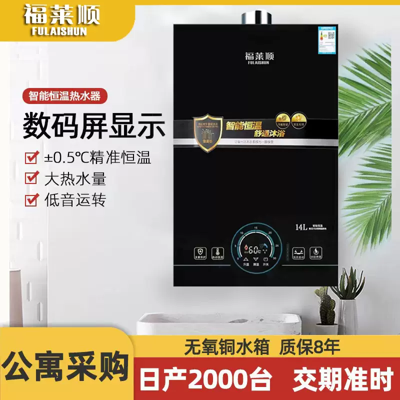 现货批发数码恒温平衡式天然气热水器家用燃气 液化气热水器批发