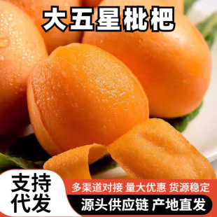 枇杷鲜果新鲜当季水果大五星枇杷整箱现摘特级琵琶果四川米易枇杷-阿里巴巴