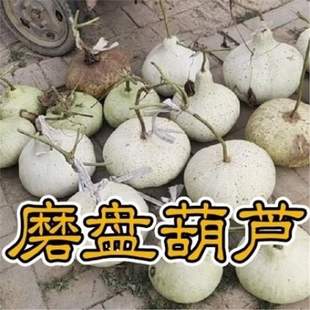 �ش����ĥ�P���J�N�ӈAư�޴�˺��J�Ѵ��^�����^�p��ʳ�ô�ϗl