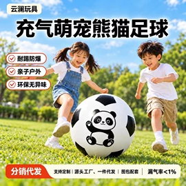其他充气玩具;游泳圈;水上充气床