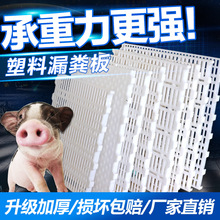 仔猪漏粪板母猪产床配件塑料保育床漏粪地板小猪用接粪板养猪设备