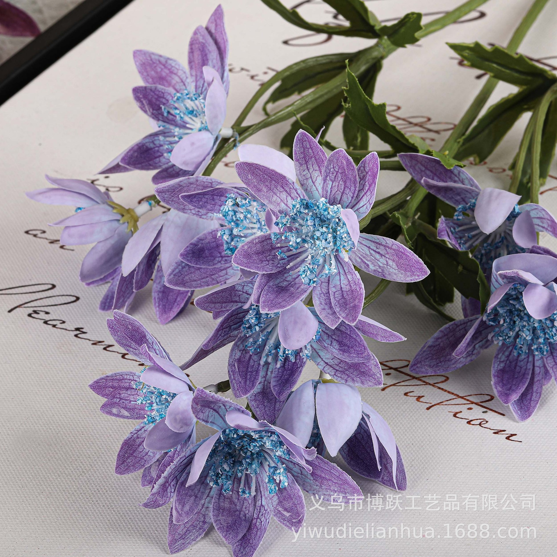 Мелкий фиолетовый