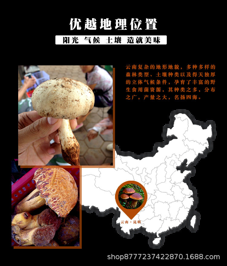 鸡枞菌牛肝菌组合-宝贝详情_11.jpg