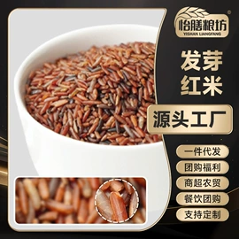 其他冲调饮品;稻谷;黑米